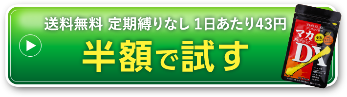 半額で試す